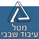מטל - עיבוד שבבי