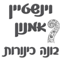 וינשטיין אמנון בונה כינורות