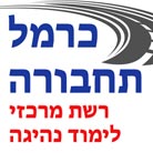 כרמל תחבורה