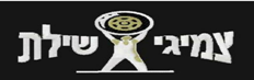 צמיגי שילת 2005 בע"מ