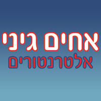 אלטרנטורים אחים גיני