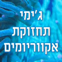 ג'ימי תחזוקת אקווריומים