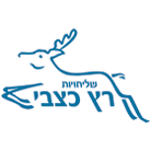 שליחויות רץ כצבי בע"מ