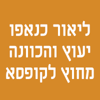 ליאור כנאפו יעוץ והכוונה מחוץ לקופסא