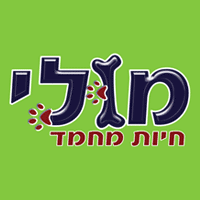 מולי חיות מחמד בע"מ