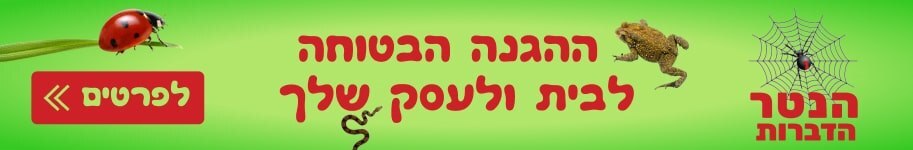 הנטר הדברות