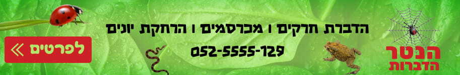 הנטר הדברות
