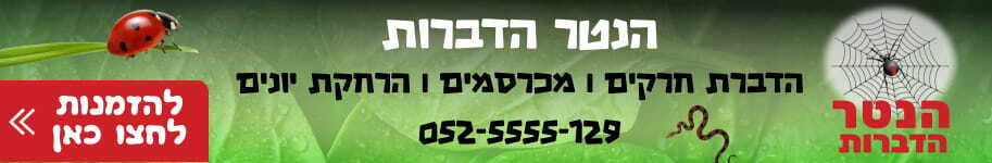הנטר הדברות