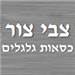 צבי צור - כסאות גלגלים - תמונה