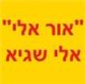 אור אלי חשמל אלי שגיא - תמונת לוגו