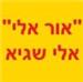 אור אלי חשמל אלי שגיא - תמונה