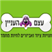  - תמונה