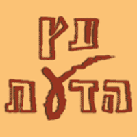 עץ הדעת בתל מונד עץ הדעת בתל מונד
