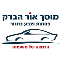 לוגו של אור הברק אור הברק - תמונת לוגו