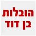  - תמונה