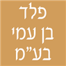 לוגו של פלד בן עמי בע"מ פלד בן עמי בע"מ - תמונת לוגו