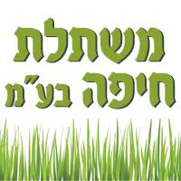 ארז עיצוב ופיתוח גינות בחיפה ארז עיצוב ופיתוח גינות בחיפה