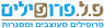 לוגו של פ.ל. פרופילים בע"מ - תמונת לוגו
