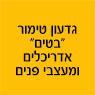 גדעון טימור "בטים" אדריכלים ומעצבי פנים ברמת השרון גדעון טימור "בטים" אדריכלים ומעצבי פנים ברמת השרון