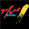 לוגו של מטי מאיר שלטים ( שלטי נגישות לנכים ) מאיר שלטים - תמונת לוגו