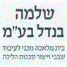 לוגו של בנדל שלמה בע"מ בנדל שלמה בע"מ - תמונת לוגו