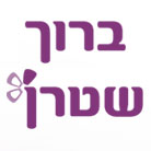 לוגו של ברוך שטרן ברוך שטרן - תמונת לוגו
