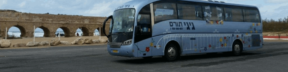 גיגי תורס בע"מ - תמונה ראשית