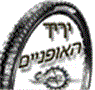 יריד האופניים