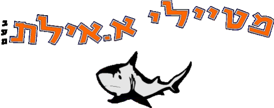 לוגו של מטיילי א. אילת בע"מ מטיילי א. אילת בע"מ - תמונת לוגו