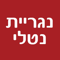לוגו של נגריית נטלי נגריית נטלי - תמונת לוגו