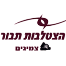הצטלבות תבור