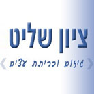 א.א.א. גיזום וכריתת עצים - ציון שליט בהרצליה