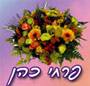 לוגו של פרחי כהן פרחי כהן - תמונת לוגו