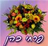 פרחי כהן ברמת גן פרחי כהן ברמת גן