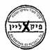 - תמונה - תמונה