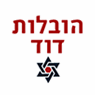 לוגו של ע.ר.ד. הובלות דוד בע"מ ע.ר.ד. הובלות דוד בע"מ - תמונת לוגו