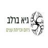 גיא ברלב א.ב בחיפה גיא ברלב א.ב בחיפה