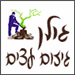  - תמונה