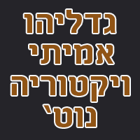 עו"ד ונוטריון גדליהו ויקטוריה בחולון עו"ד ונוטריון גדליהו ויקטוריה בחולון