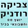 לוגו של צביקה רודניק צביקה רודניק - תמונת לוגו