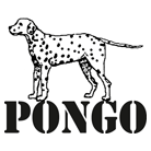 פונגו - הדפסה על חולצות