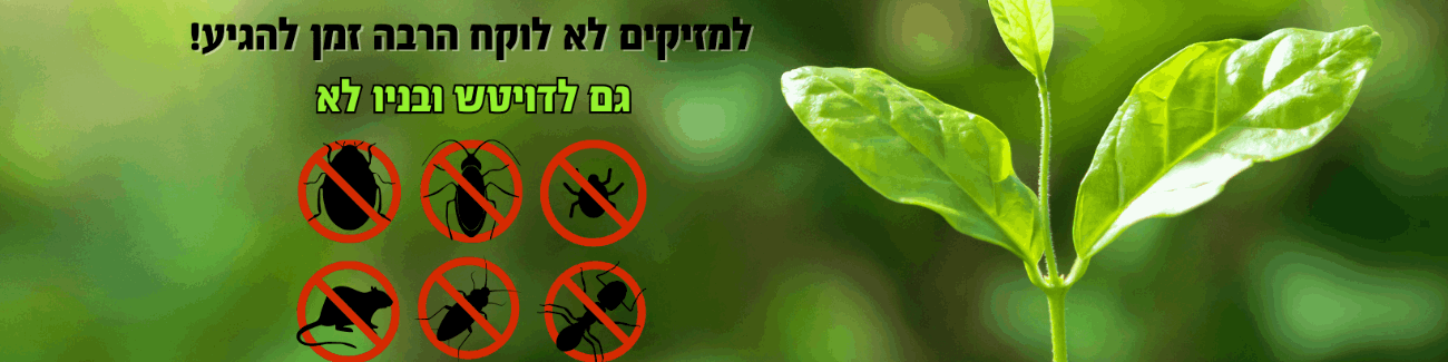דויטש ובניו מדבירים מקצועיים בע"מ - תמונה ראשית דויטש ובניו מדבירים מקצועיים בע"מ - תמונה ראשית