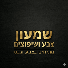 שמעון צבע ושיפוצים בחיפה