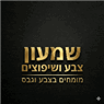 שמעון החלקת קירות ביום אחד