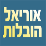 אוריאל הובלות בבאר שבע אוריאל הובלות בבאר שבע