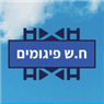 חיים ששון פיגומים ברמת גן חיים ששון פיגומים ברמת גן