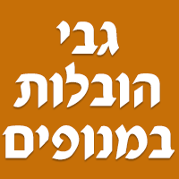 גבי-הובלות במנופים בראש העין גבי-הובלות במנופים בראש העין