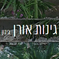גינות אורן ברחובות גינות אורן ברחובות
