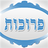 לוגו של ריקמתי מפעל למזוזות תפילין ופרוכות ריקמתי מפעל למזוזות תפילין ופרוכות - תמונת לוגו