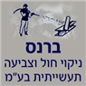 לוגו של ברנס ניקוי חול וצביעה תעשייתית בע"מ ברנס ניקוי חול וצביעה תעשייתית בע"מ - תמונת לוגו